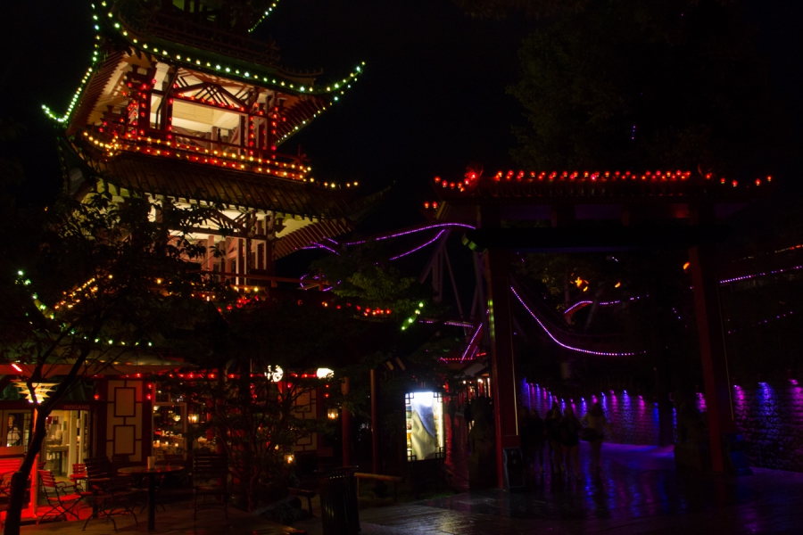 Available-light_8