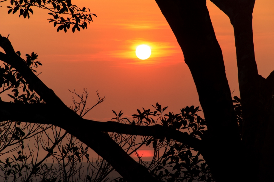 Portfolio_Silhouetten_4