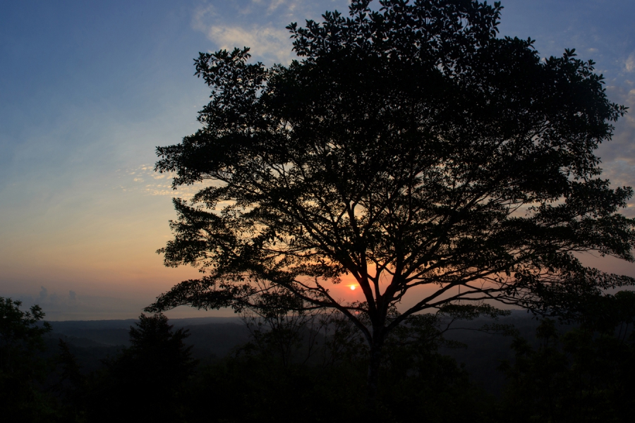 Portfolio_Silhouetten_5